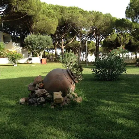 Appartement Charming With Terrace And Pool 40 M² *